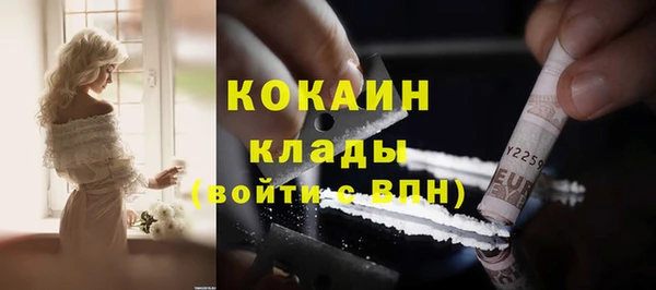 хмурый Аркадак