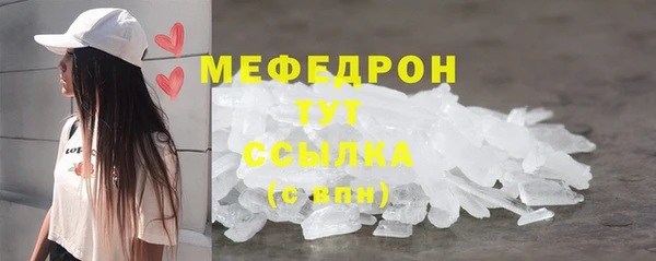 хмурый Аркадак