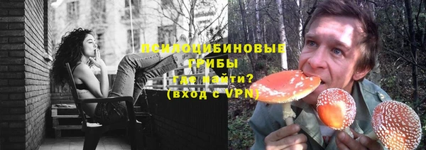 хмурый Аркадак