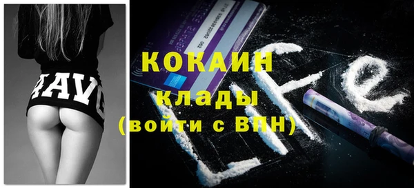 хмурый Аркадак